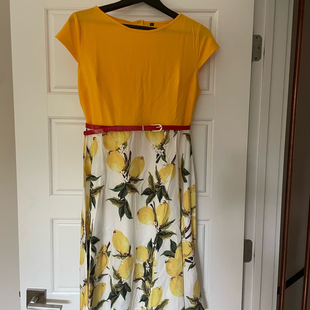 Lovely Lemon MissFox dress with red belt.